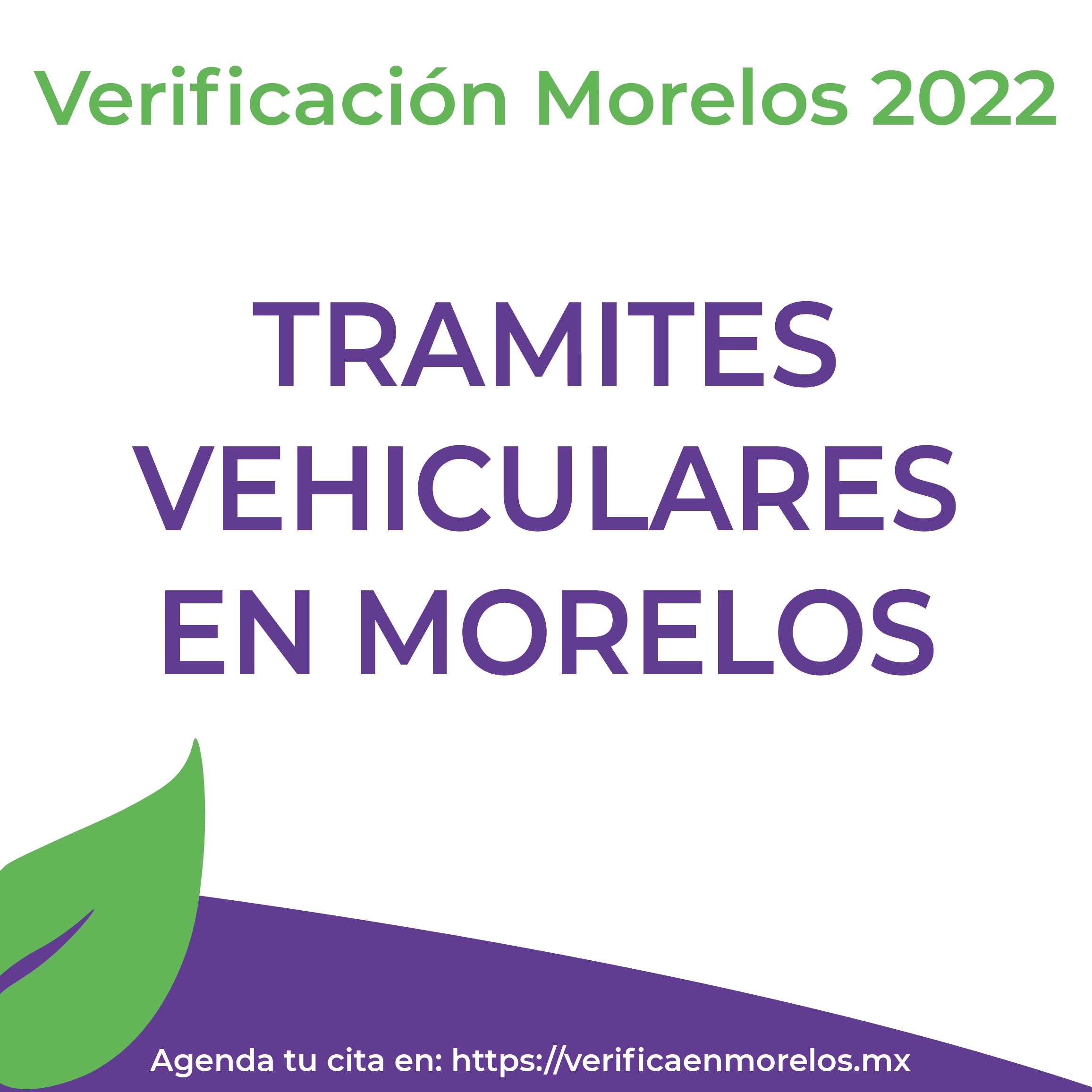 Trámites verificación Morelos